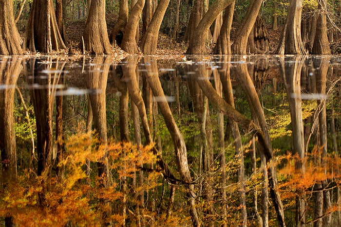 FIGHTING FIRE WITH FIRE (03.2015)