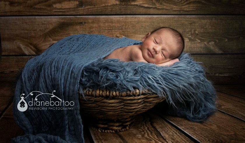 newborn boy in basket picture