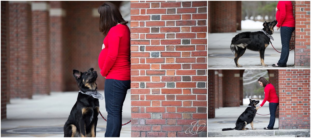 pregnancy photo outside with dog