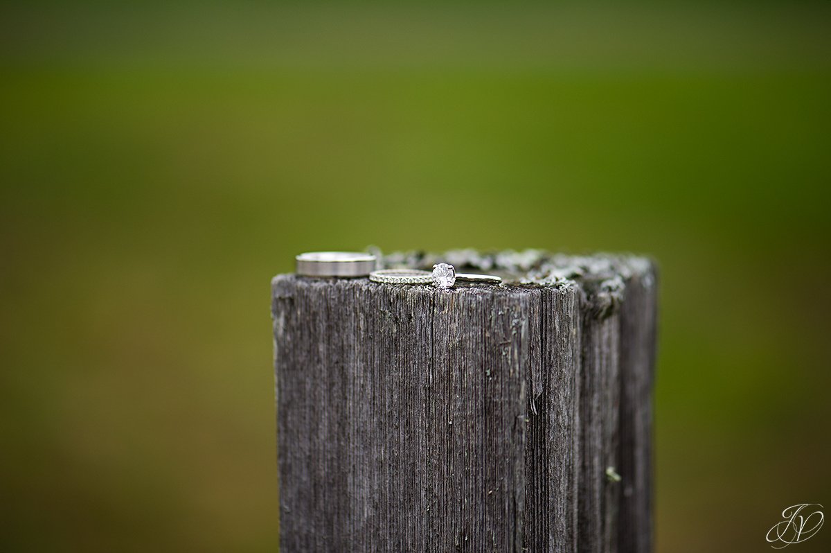 unique shot of wedding rings