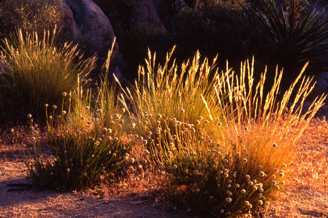 Rock Melt 20x30/Custom