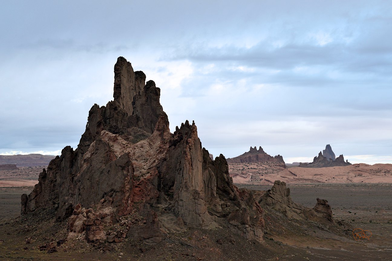 Collecting 24x24 / 36x36 / Custom