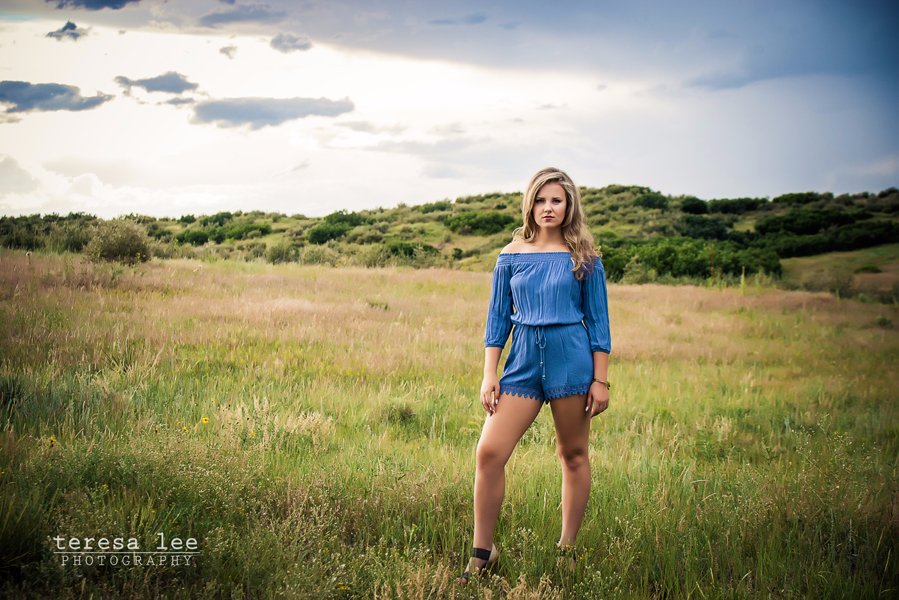 Teresa Lee Legacy Stories