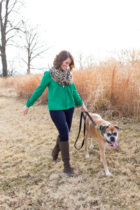 Furry Friends - Kansas City Pet Photographer