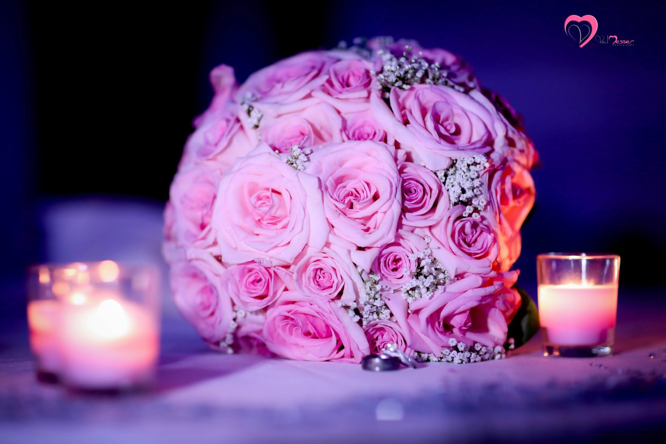 Cushing Park framingham MA -  Matthew and stephanie Engagement Photo Session 