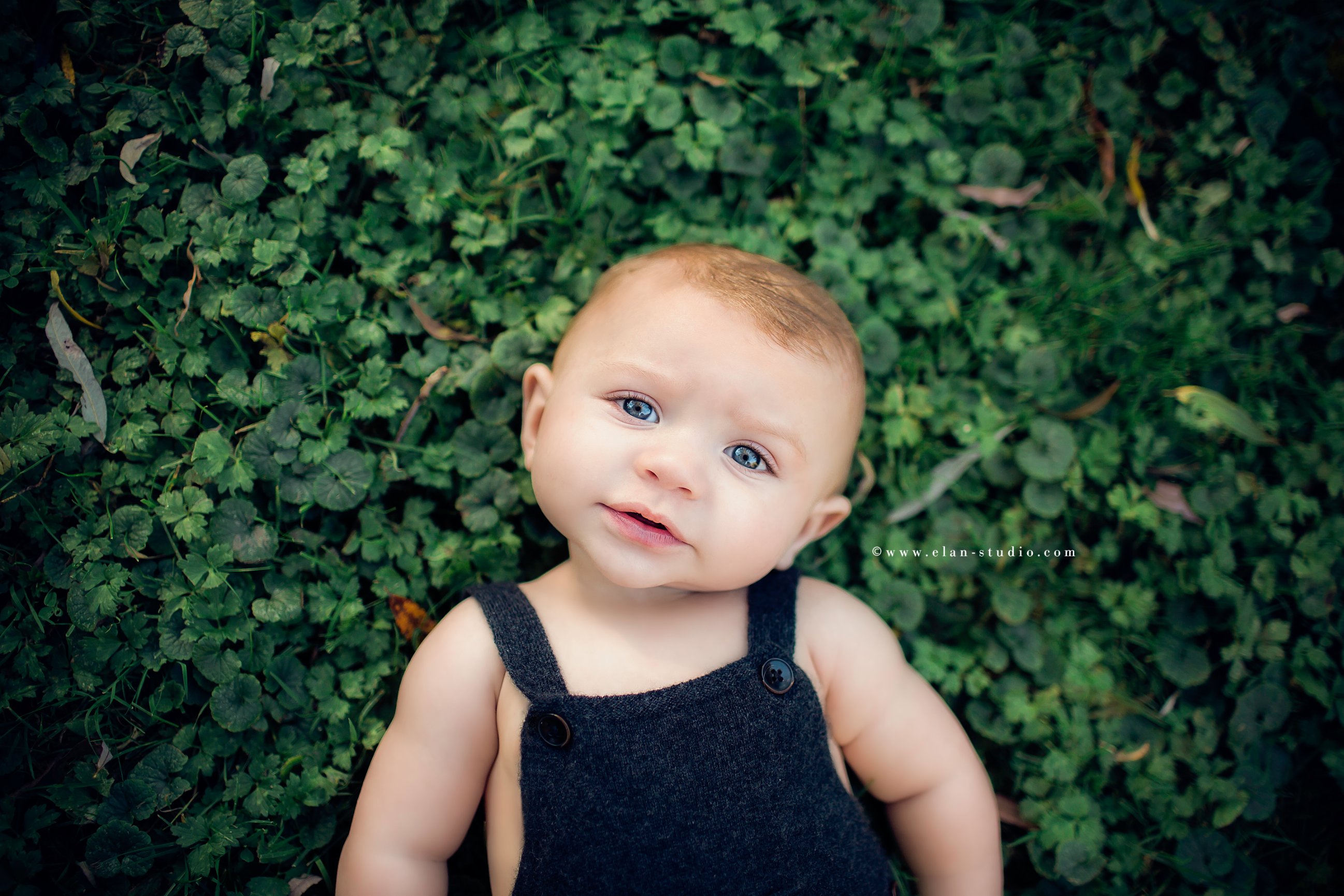 blue eyed baby boy in overalls, on clover bed