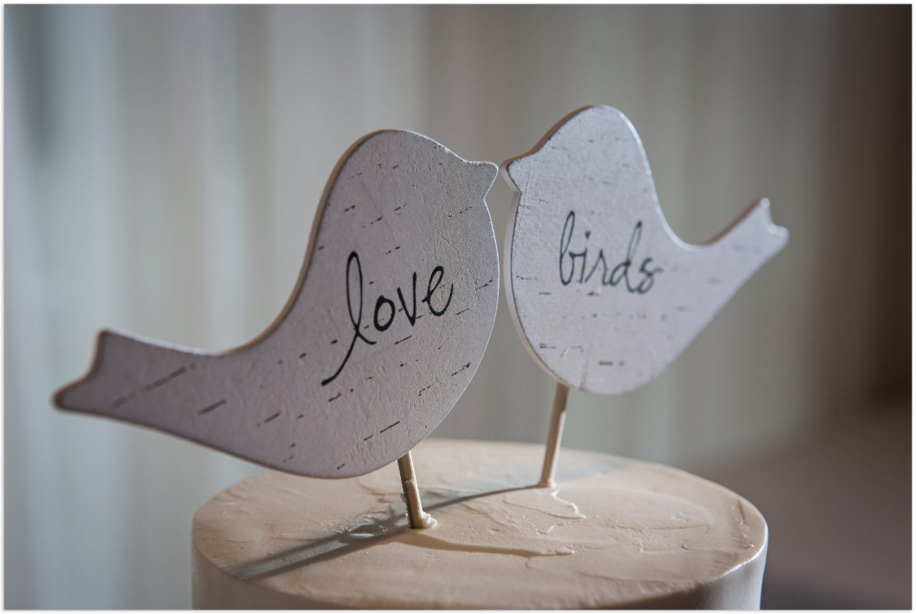 Julia and Ian Wedding