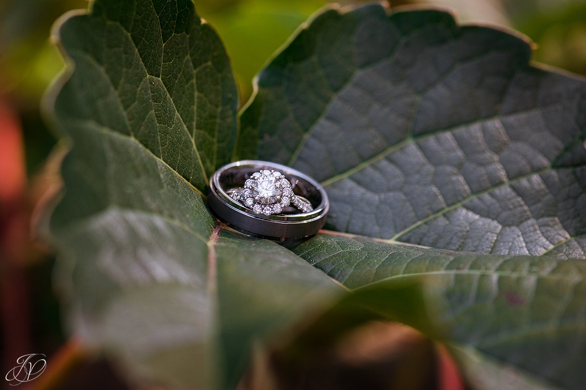 unique photo of wedding rings in flowers