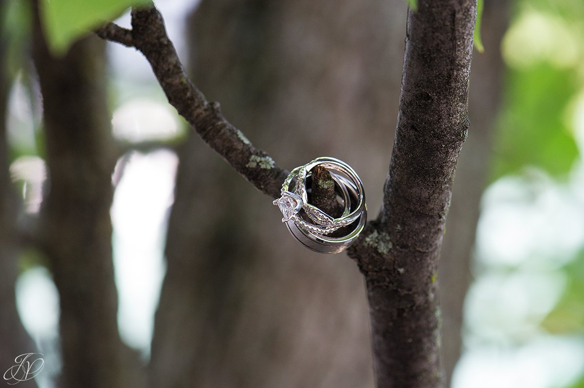 beautiful photo of vintage wedding rings, jessica painter photography