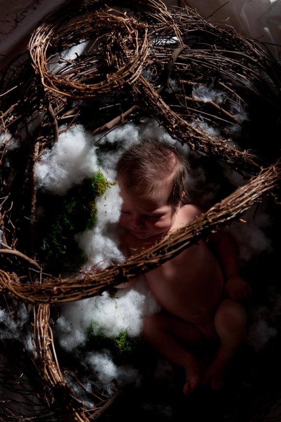 Baby Girl Newborn Portraits - Colorado