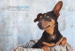 Diana Lundin Pet Photography Business Card