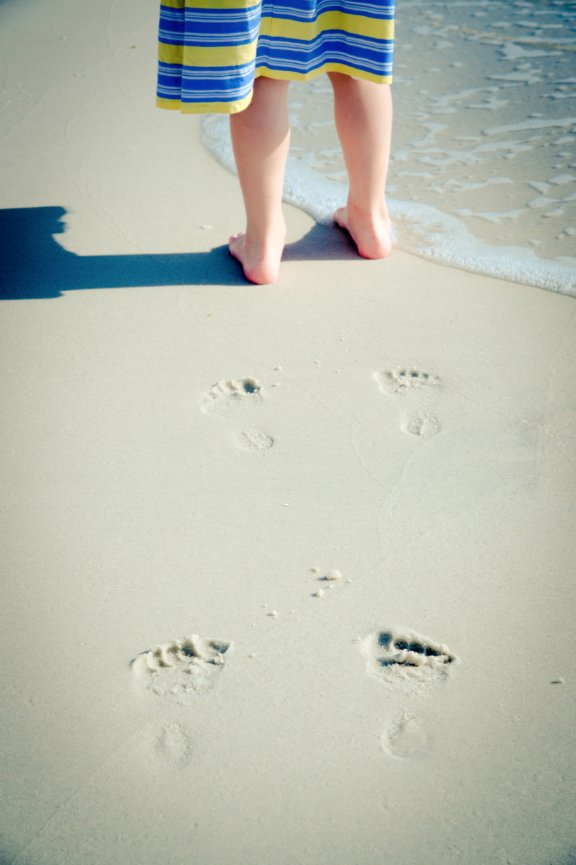 Beach Family Portraits in Florida