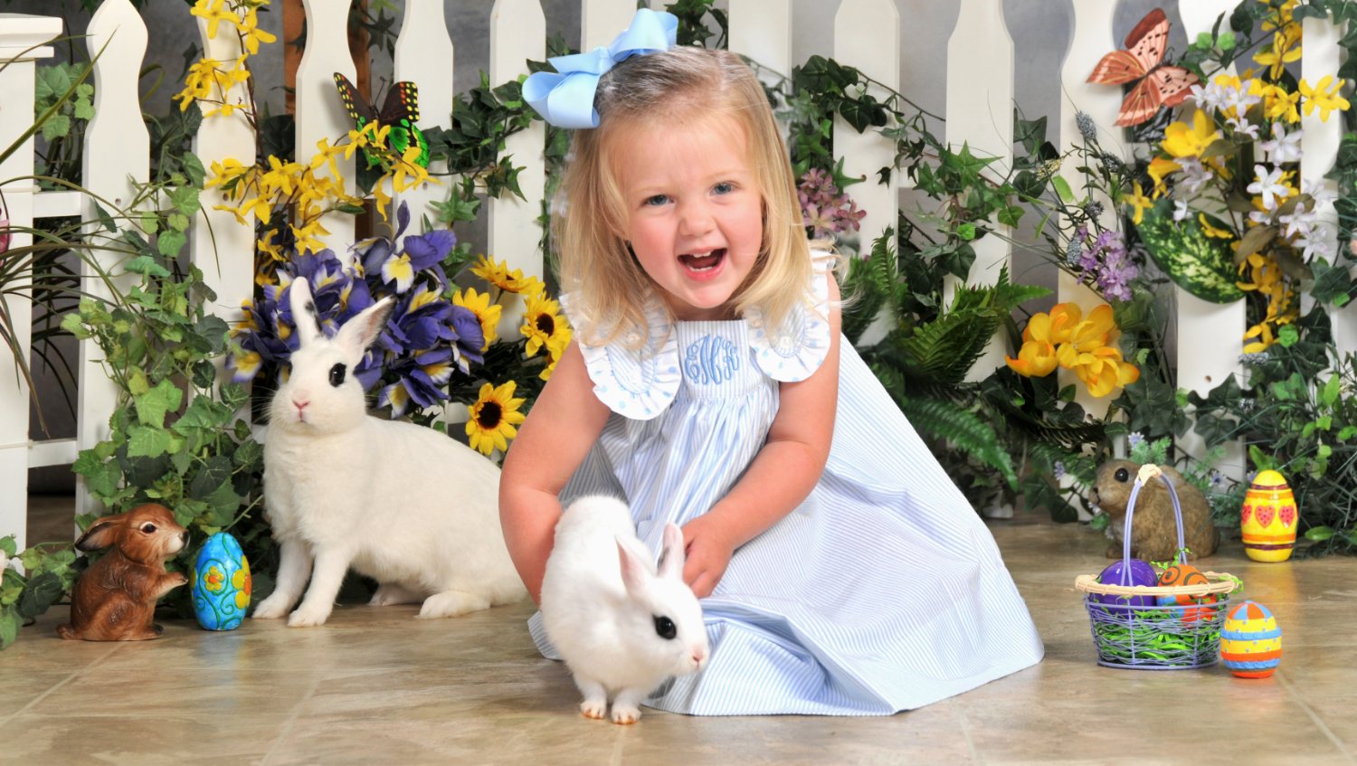 Easter Bunny Special