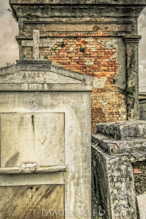 Shopping at Whole Foods - Surviving Marriage with Humor