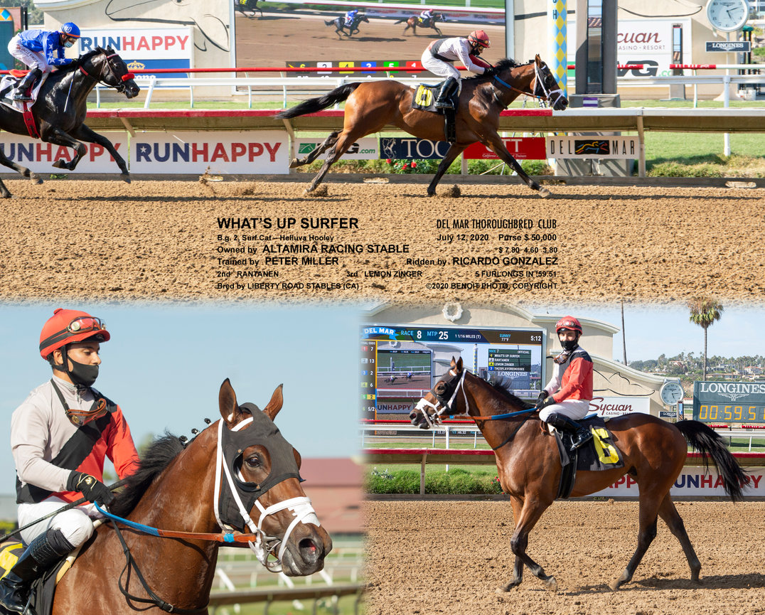 Del Mar 2020 Summer & Fall