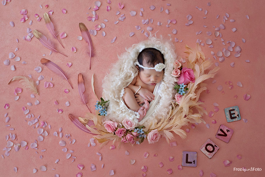 Newest edition Houston Newborn Photographer