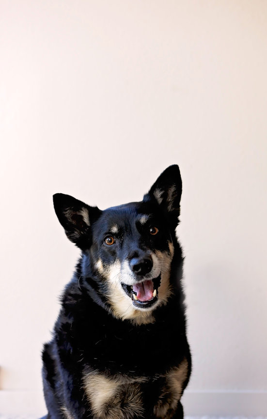 Fall is ... glorious here in Central Oregon