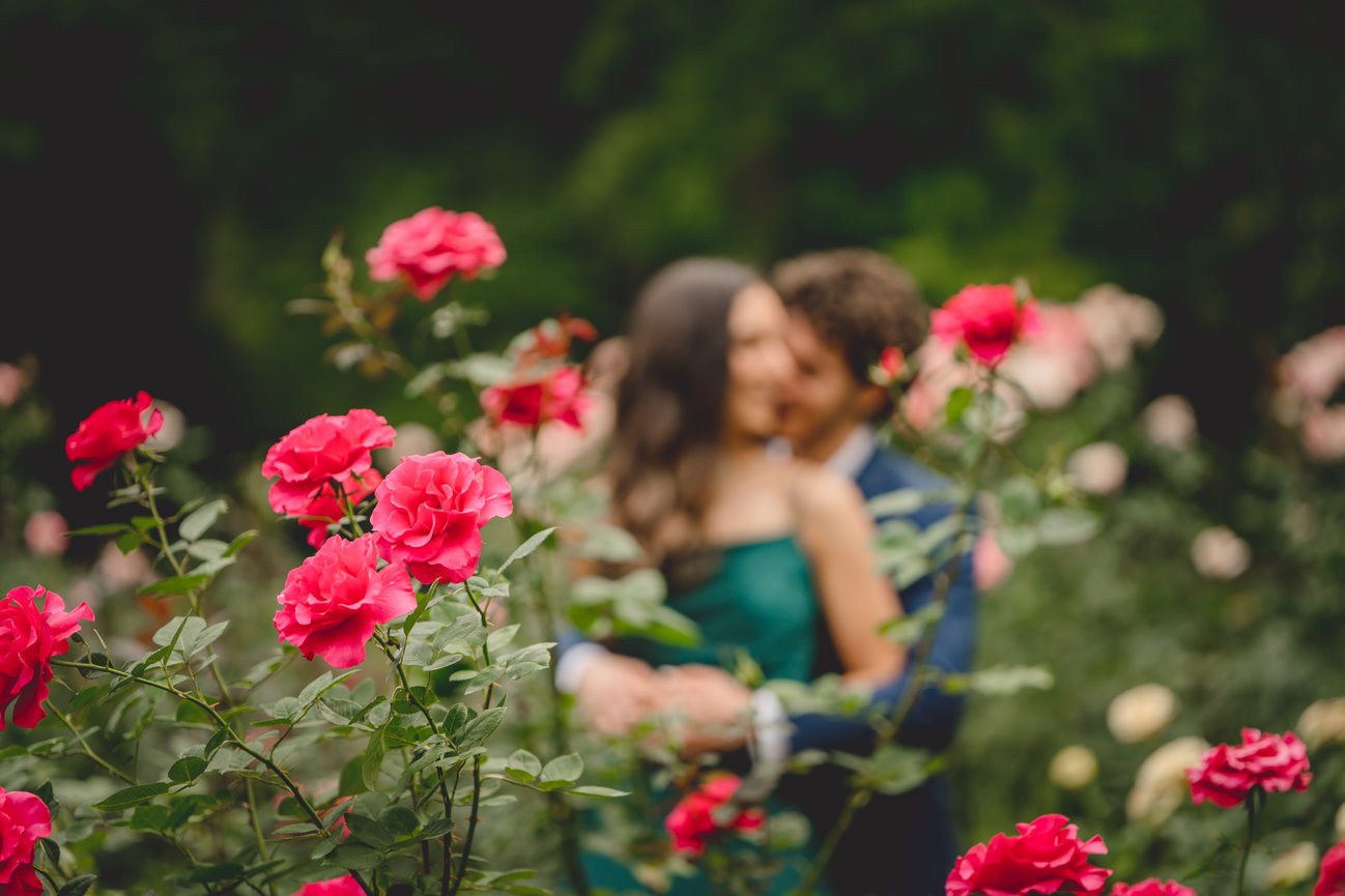 The Grove at City Market