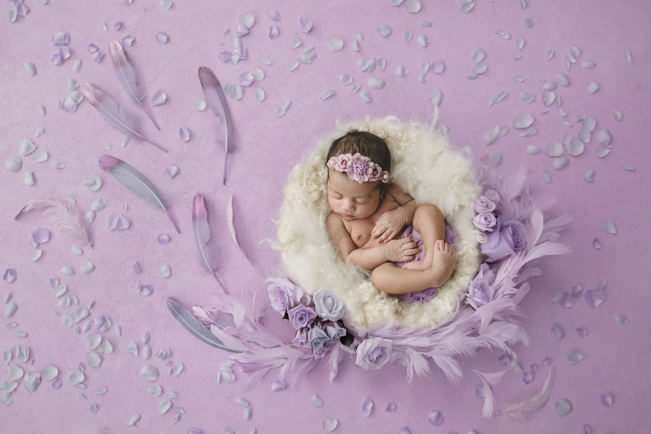 The Grove at City Market