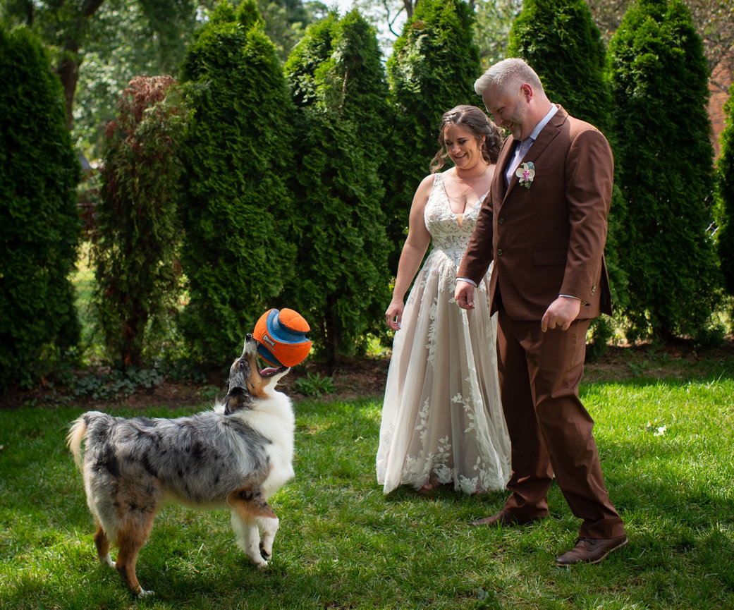 The Children's Museum Wedding: Megan & Steve