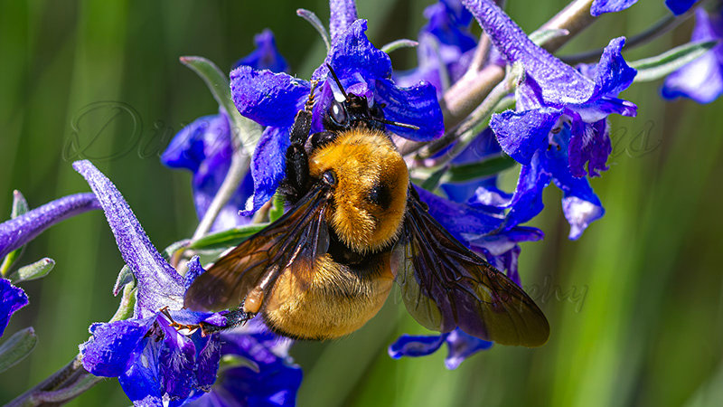 Kaiyah Takota The Final Chapter - A Novel Husky: Chapter 48