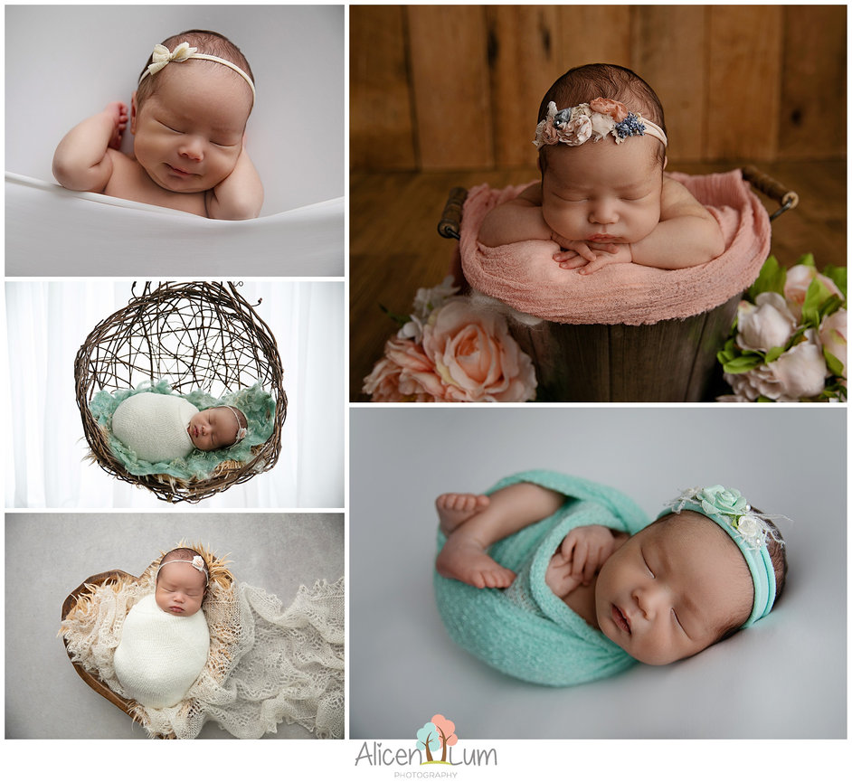 2025 Black Friday Special at Alicen Lum Photography