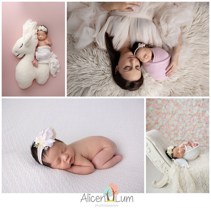 2025 Black Friday Special at Alicen Lum Photography