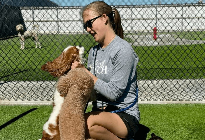 Why Dog Boarding at Amarillo Fetch Is Better Than Hiring a Pet Sitter