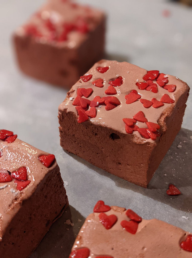 Music portraits- Park City Senior Pictures