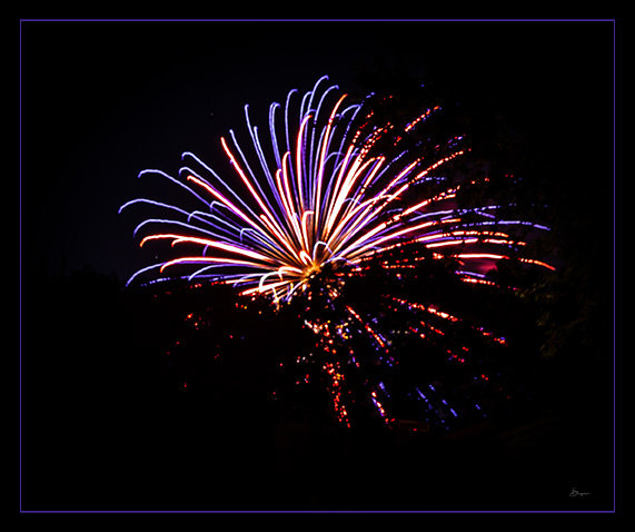 SENIOR PORTRAIT SESSION