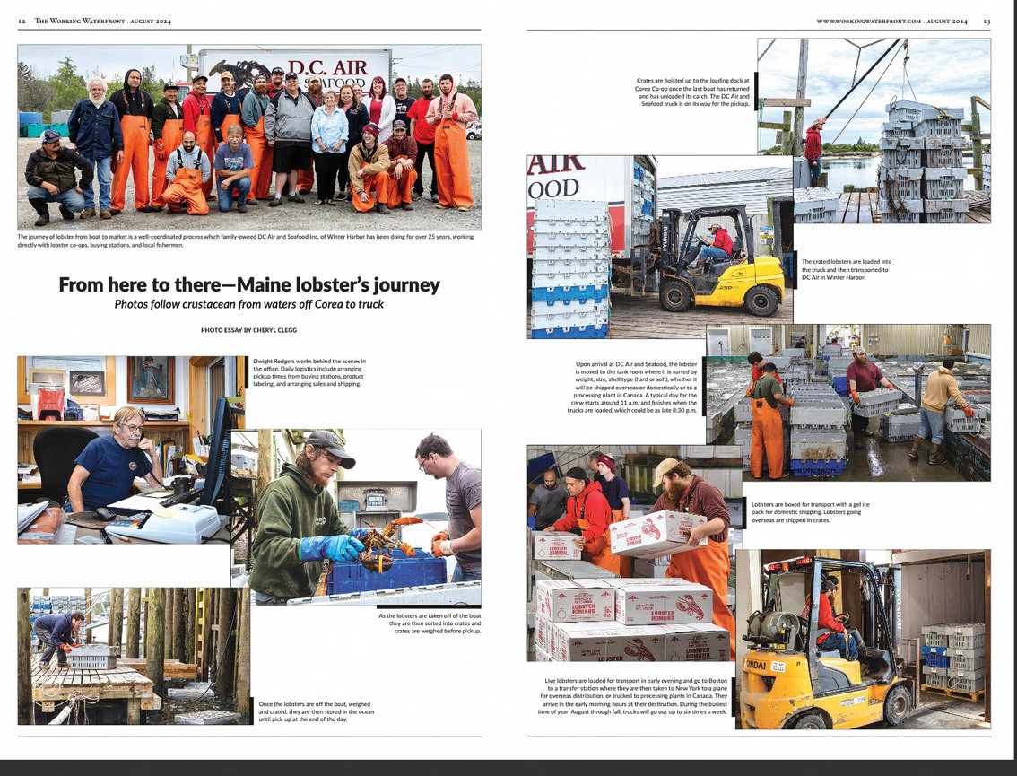 Model Portfolio Sessions: How to Prepare for Your Best In-Studio Shoot