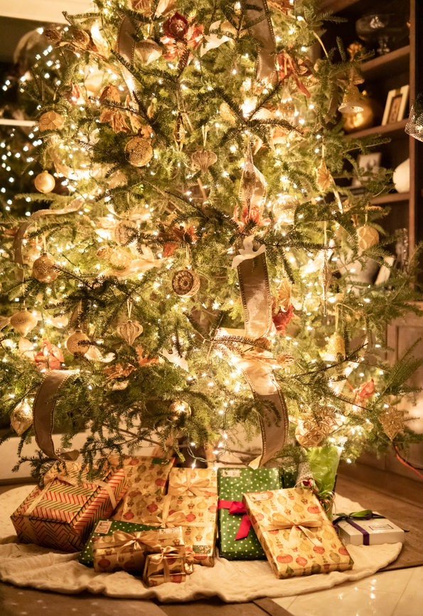 At Home Christmas Tree Sessions!