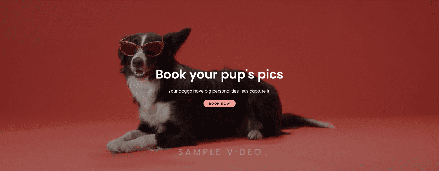 What's New - October 2025