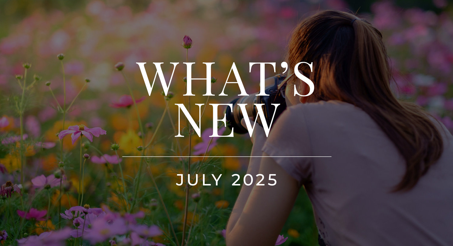 What's New - August 2025