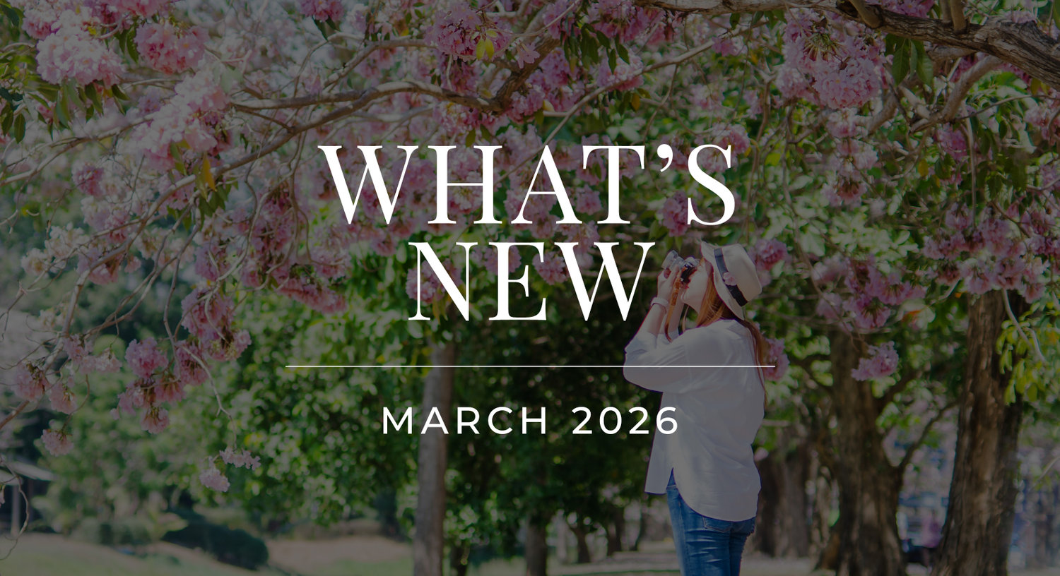 10 Years of PhotoBiz Email Marketing: Simpler, Smarter, and More Powerful