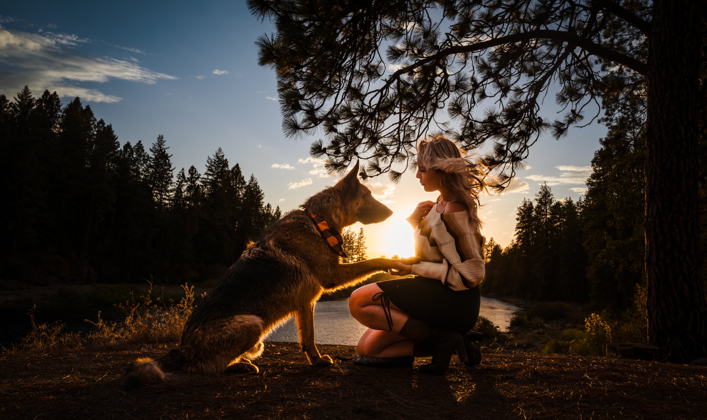 Capturing the Bond Between Dogs and Their People: Meet Furever Photography