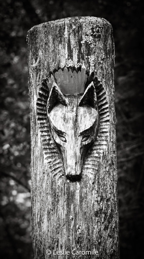 John C. Campbell Folk School - Student Work Creative Smartphone Photography