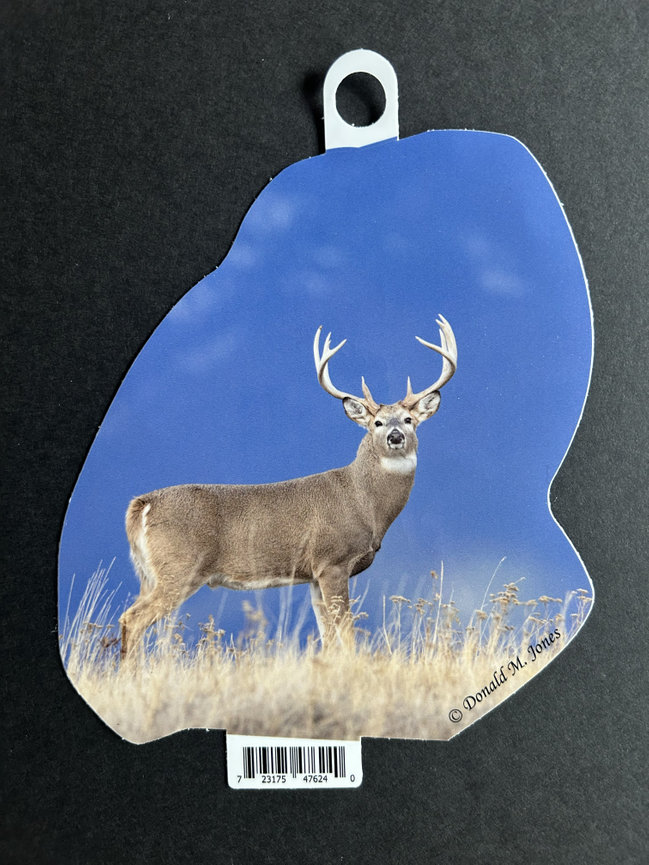 Whitetail Deer S4 707