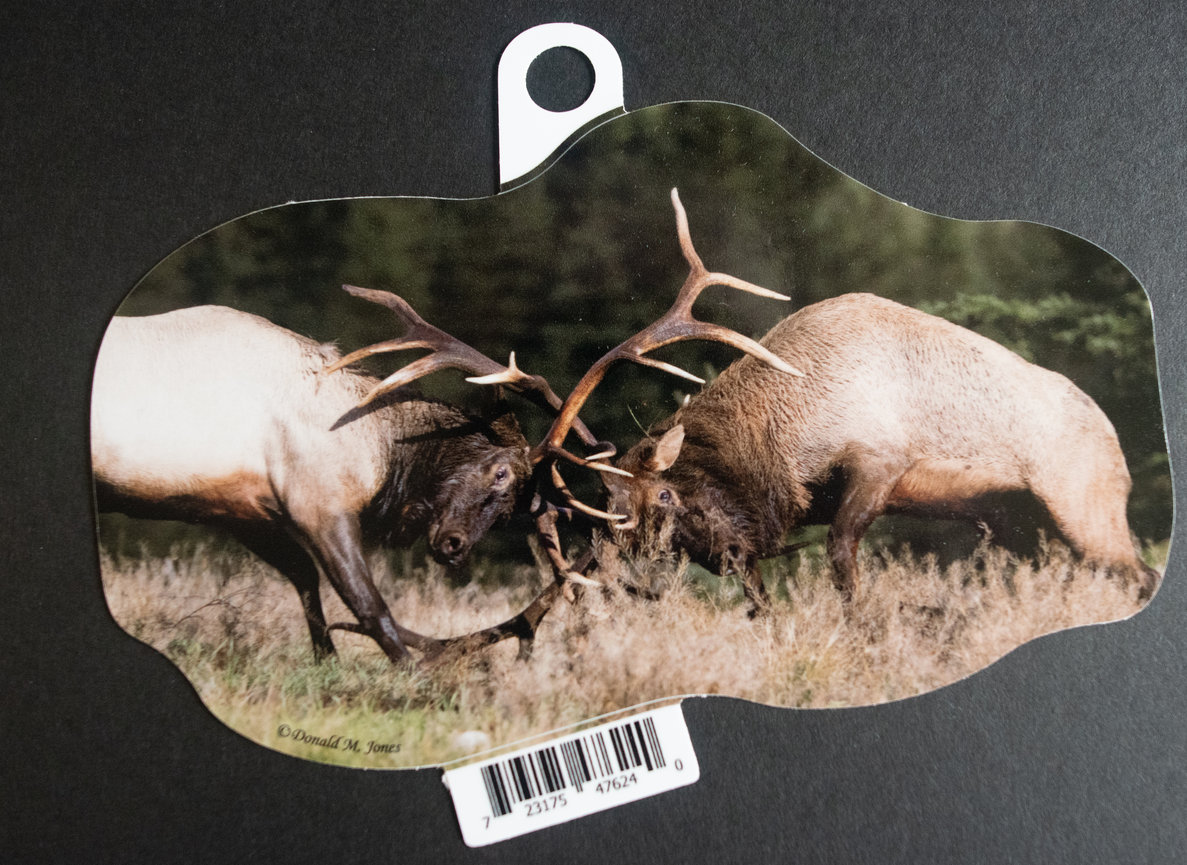 Bull Elk S4 546