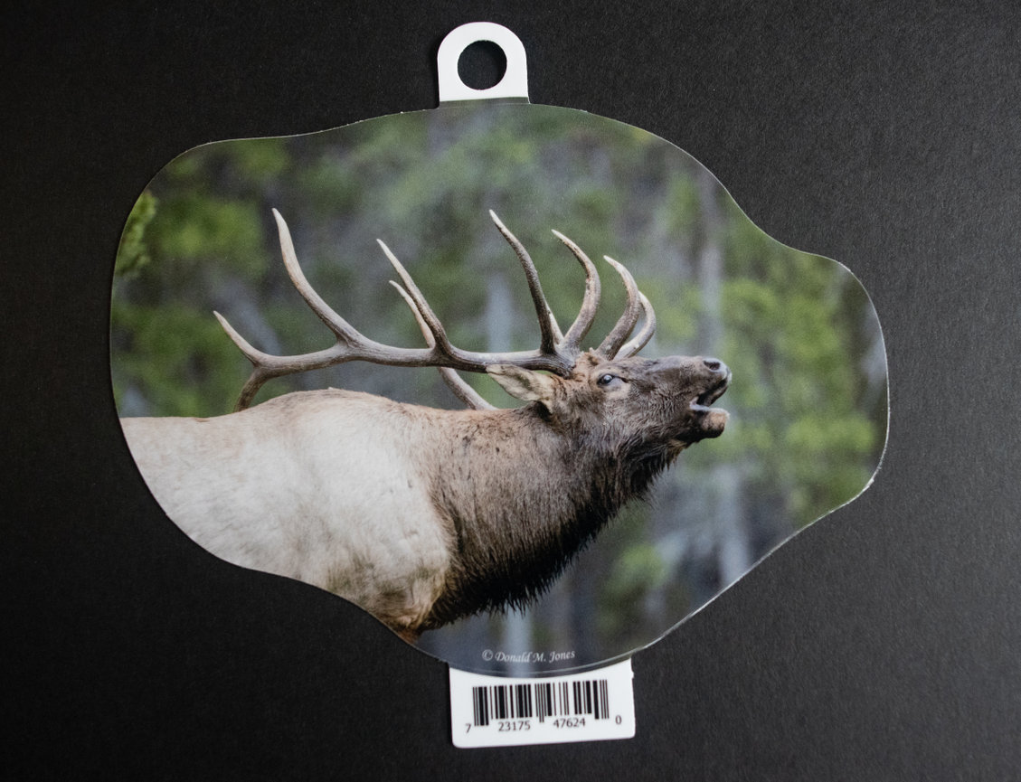 Bull Elk S4 549