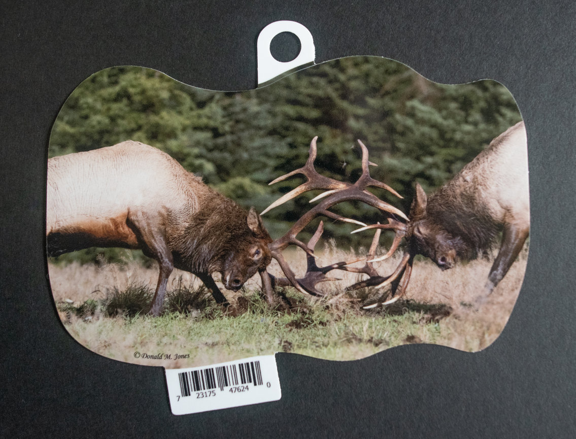 Bull Elk S6 709
