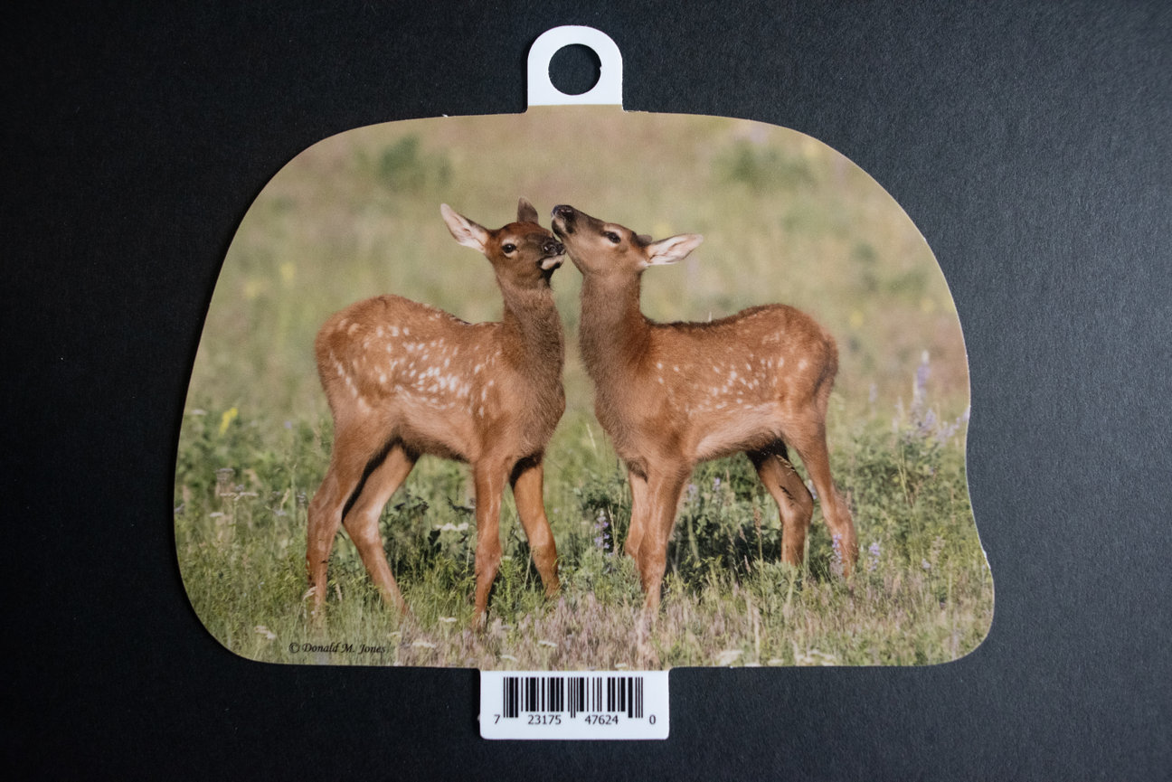 Bull Elk S6 604
