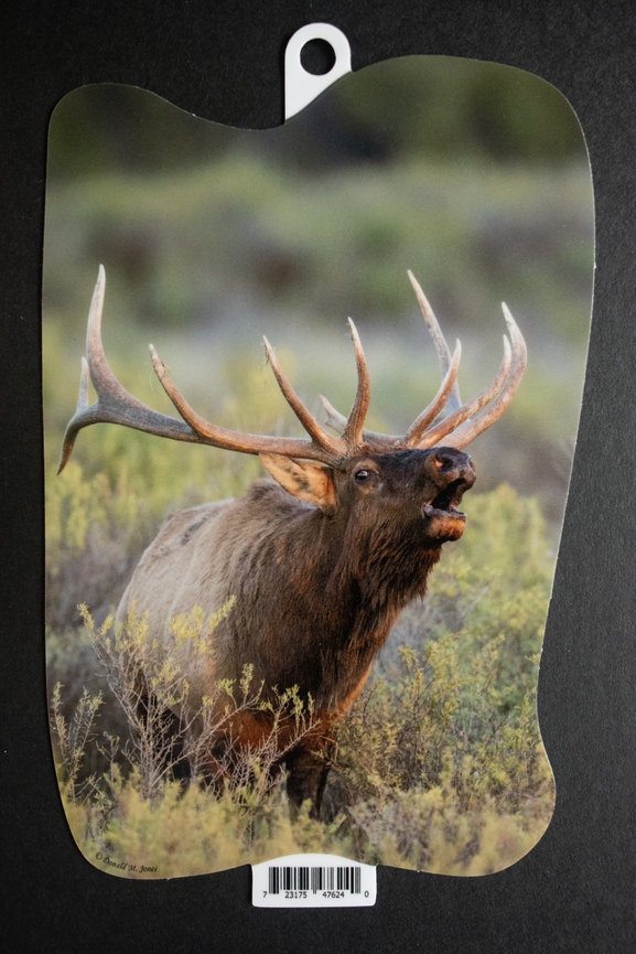 Bull Elk S6 711