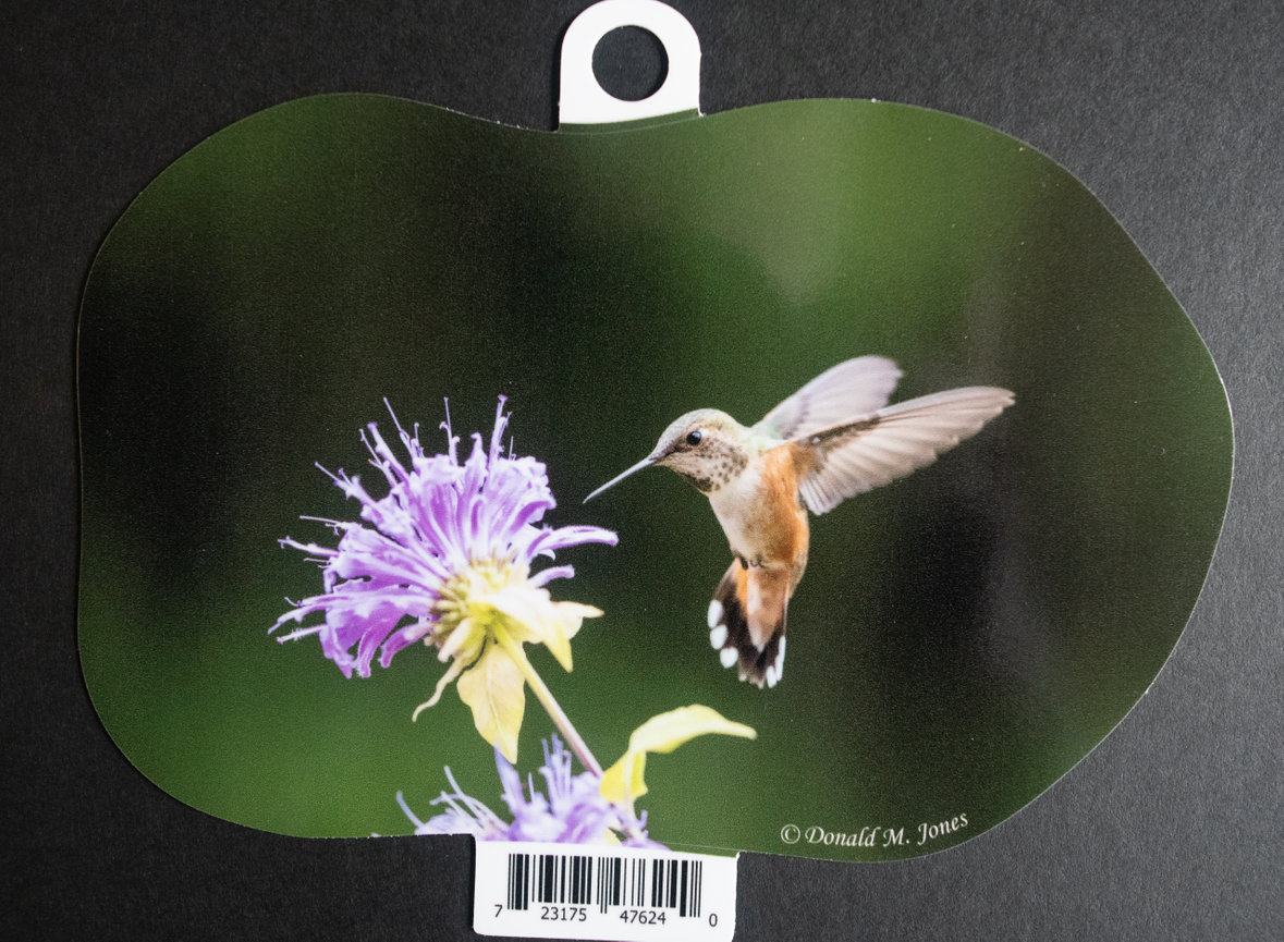 Rufus Hummingbird S4 731