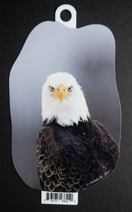 Bald Eagle S4 725