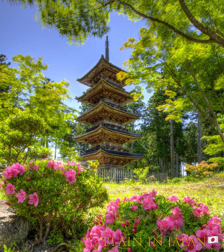 Ultimate Mount Fuji Autumn Photo Tours: Vibrant Autumn Leaves, Hidden Temples & Unforgettable Views