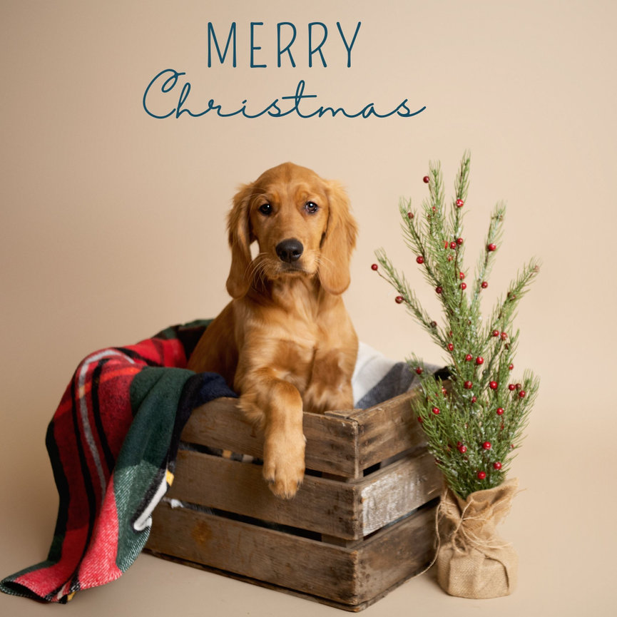 Preparing for your Twin photography session, Erie PA