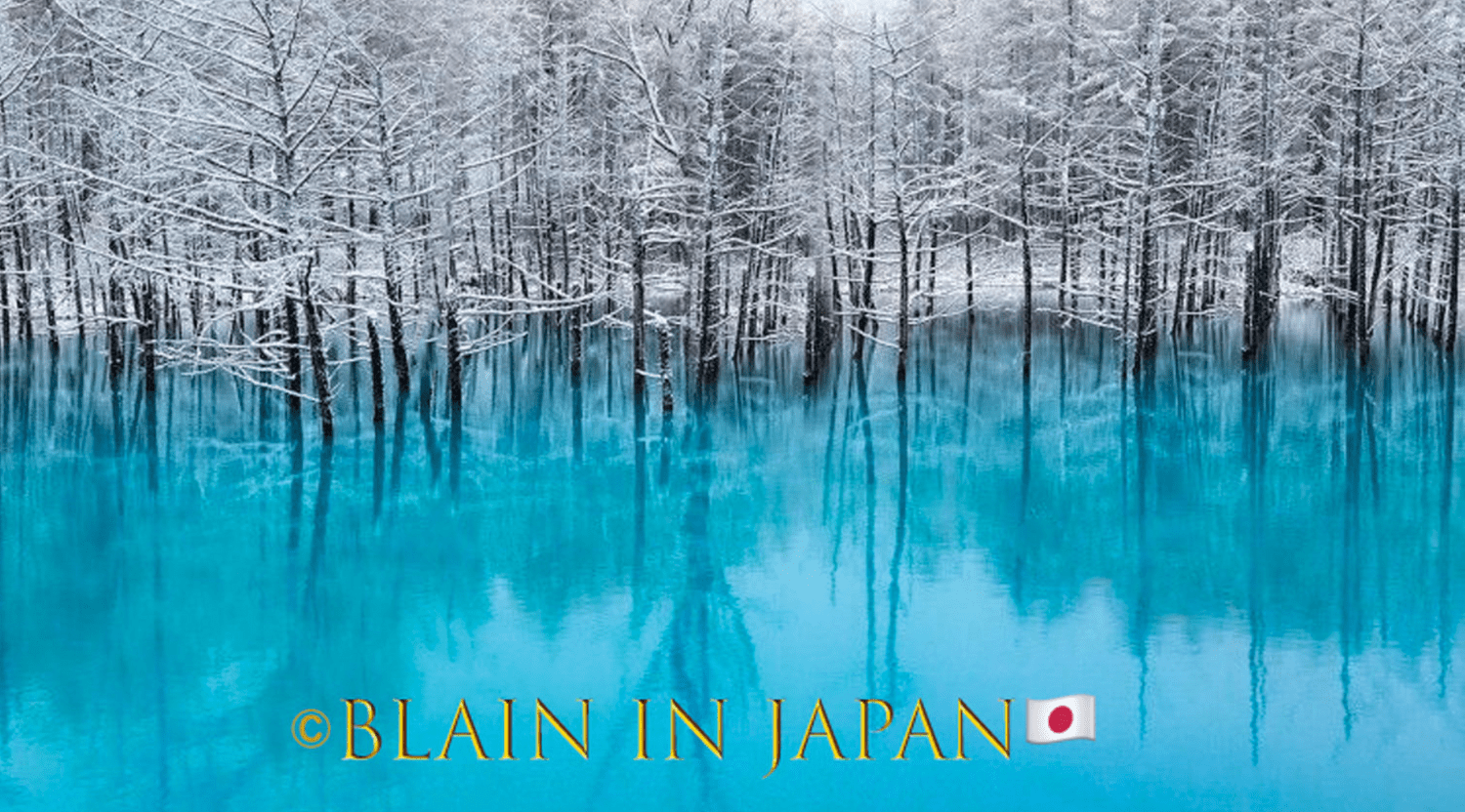 Japan Autumn Leaves Tour – Capture the Colors of Fall with JDS