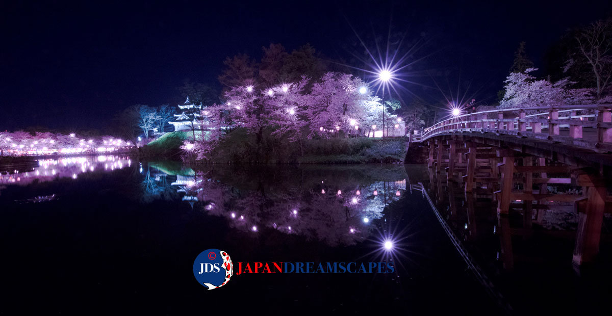 Long-lived and Historic Cherry Blossoms