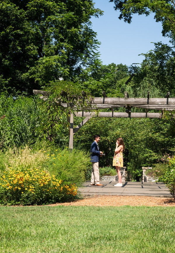 Proposal photography with weather concerns